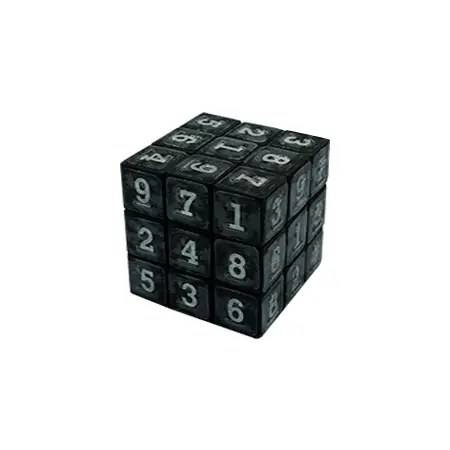 Sudoku Cube With Braille